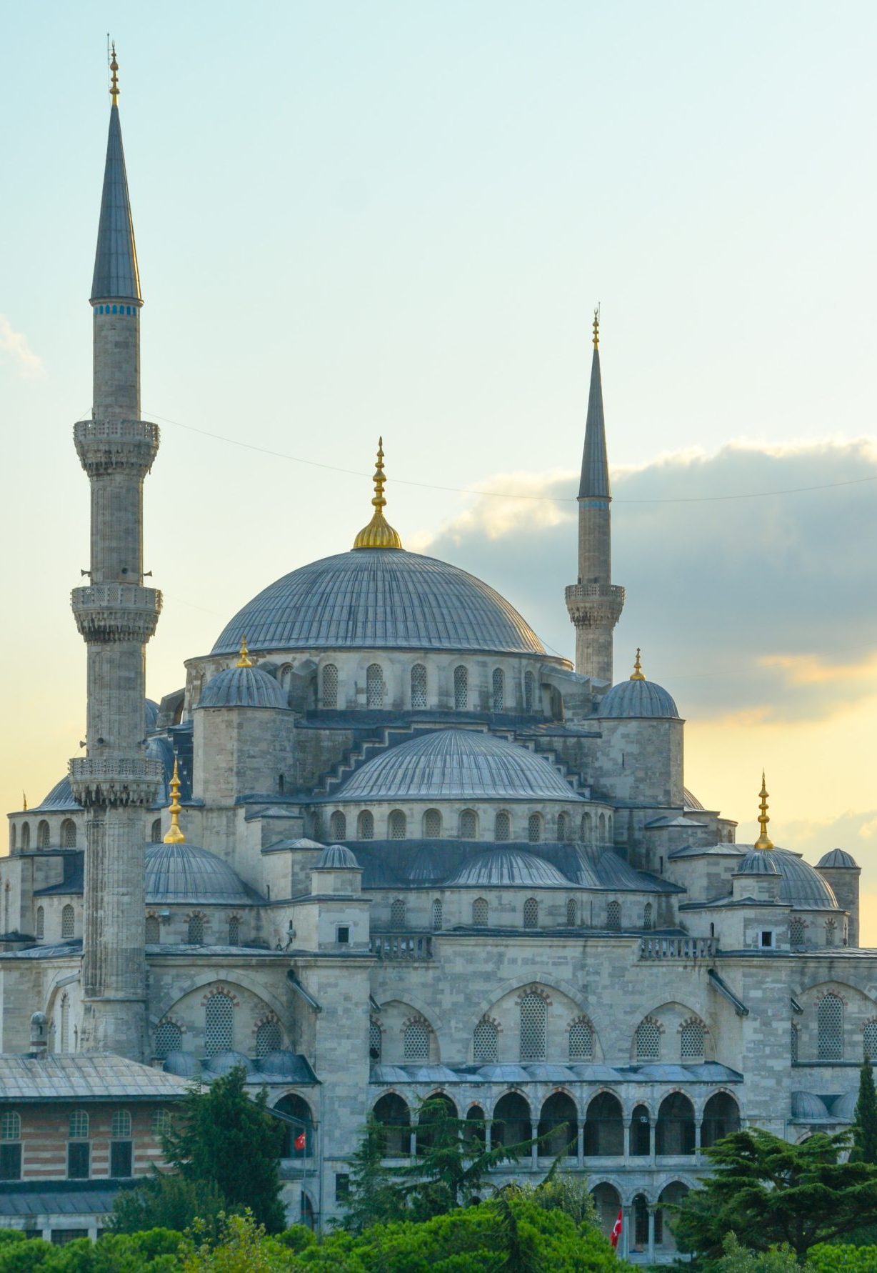 cropped-adli-wahid-3-QB-YKxTKY-unsplash-scaled-1.jpg